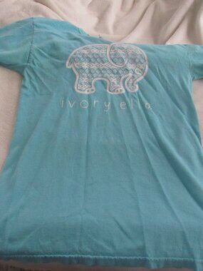 Ivory Ella Blue/White Shirt  Size Small Comfort Colors